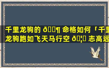 千里龙驹的 🐶 命格如何「千里龙驹跑如飞天马行空 🦅 志高远奔腾」